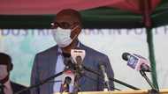 Why I begged to let Nigeria construct free railway for Niger Republic - Buhari's minister speaks