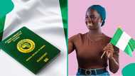 11 countries where Nigerian passport holders can get visa on arrival in 2026