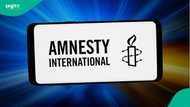 Amnesty International condemns Kuje area council chairman over APC voting threat