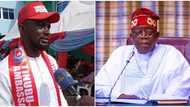 APC chieftain commends President Tinubu for appointing Igbos into "powerful" ministries