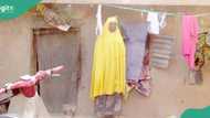 Gambo Haruna: Kano widow pushing wheelbarrow to feed 6 children