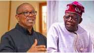 Election petition: How Peter Obi, Labour Party contradicted themselves, Tinubu's lawyers speak