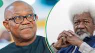 Why Peter Obi shouldn’t contest for president in 2027, Wole Soyinka explains