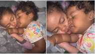 "They are so precious": Mum stumbles on her babies sleeping on each other, video of their posture goes viral