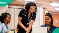 Work, earn in dollars: Apple opens 2026 Internship Applications, $9k monthly pay available