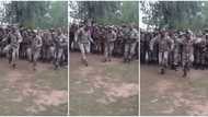 Strong soldiers in military uniform gather under tree, dance and shake bodies to native song in viral video