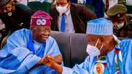 2023: Our discussion with northerners before Tinubu's emergence - APC governor reveals high-profile information