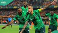 AFCON final: Super Eagles set to return to Abuja after losing to Ivory Coast