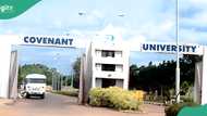 Nigerians react as Covenant University beats UI, UNILAG, others to emerge best varsity in Nigeria