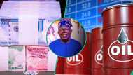 Petrol price to fall to N600/litre under Tinubu's crude-for-naira initiative, says Ex-IPMAN chief