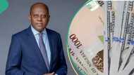 “The status quo still remains”: Mixed reactions trail CBN’s forex clearance claim