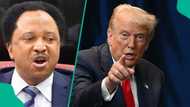 Tinubu vs Trump: Shehu Sani breaks silence as US places Nigeria on watchlist