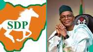 SDP youth group rejects El-Rufai's defection, alleges attempt to hijack party