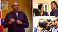 "They look so simple": Rare photos of Peter Obi's daughter and hubby at polling unit in Anambra hit internet