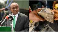 New Naira: CBN replies Senate, Miyetti Allah, Nigerians on old notes deadlines 23 days before circulation