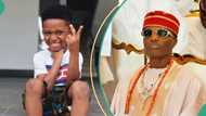 Heartwarming moment as Wizkid brings out son Zion on stage at Hollywood Bowl concert in Los Angeles