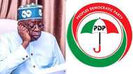 Cire Tallafi: Jam'iyyar PDP Ta Yabi Tinubu Kan Matakan Da Ya Ke Dauka, Ta Ce Ya Yi Bajinta