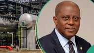 Good news for naira as CBN tells oil companies to sell dollar to dealers, users