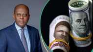 CBN MPC member predicts naira to strengthen to N1,400/$1 by end of 2025