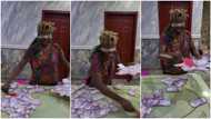 Akpororo's sister plays money game, given 30 seconds to pack as much money as she wants, Nigerians react