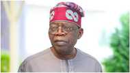 APC primary: No one stood for democracy as Tinubu did, Dibal, ex-Borno dep gov reveals