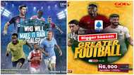 Excitement Builds as New Football Season Returns, Tottenham and Southampton go head-to-head on DStv, GOtv