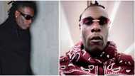 Don't make me cut the one on my head: Burna boy threatens fans displeased about his shaved beards