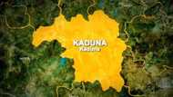 Yan Sanda Sun Kama Kasurgumin Dan Bindiga a Kaduna, Sun Kwato Bindigogin AK47 Guda 4