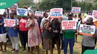 Drama as thugs invade Edo State High Court, disrupt governorship election tribunal