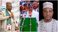 National Assembly: Tinubu, APC's nominees begin permutations to outsmart PDP, LP, others