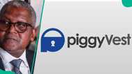 How to buy Dangote Refinery shares as PiggyVest opens N525 IPO to 6.6 million users