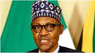 New reports says Nigerian business environment bad for startups' growth