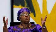 WTO Director-General Okonjo-Iweala returns to Nigeria, votes in crucial election