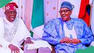 Murna yayin da Tinubu ya naɗa hadimar Buhari a babban muƙami, bayanai sun fito