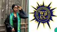 WAEC 2025 results of brilliant girl trends online as she clears exam with A1 in 7 subjects