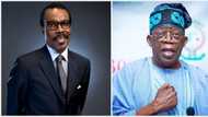 President Bola Tinubu only reduced fuel subsidy, didn’t remove it, says Bismarck Rewane