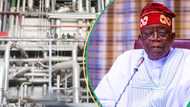 Hope shines on Ajaokuta Steel as Tinubu secures $3bn investment from Indian Investor