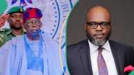 BREAKING: Tinubu appoints new special adviser on economic affairs