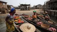 Top Five thriving businesses in Africa to invest in as population explodes