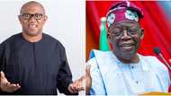 Fresh trouble for Tinubu as Obi reveals alleged winner of 2023 presidential election after INEC's declaration