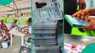 INEC warns of 'security risks' as voter registration stalls in 4 Borno LGAs, shares new plan