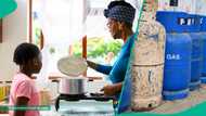 Cooking gas Hits ₦17,500 as strike, Dangote supply delay triggers fresh price surge
