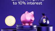 Quidax Launches US Dollar (USD) Savings with to up 10% Interest