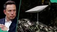 Elon Musk’s Starlink ranks second-largest internet service provider in Nigeria amid new tariff hike