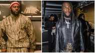 Odumodublvck and Burna Boy link up backstage at sold-Out UK concert: "Real recognize real"