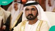 Dubai publishes 4 categories of foreigners who qualify for 10-year Golden Visa