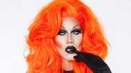 Sharon Needles bio: age, boyfriend, plastic surgery, net worth