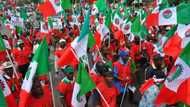 ASUU strike: NLC declares nationwide protest, announces dates