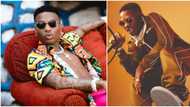 Fan tells Wizkid to take his girlfriend while singer was performing in Lagos, Nigerians react to viral video