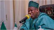 BREAKING: Big blow to Tinubu as Governor Ganduje massively loses local government